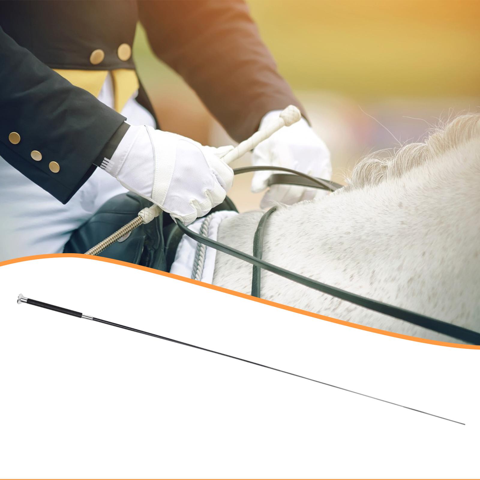 Durable Metal Nylon Adjustable - Riding Crop Dressage ulasan dan harga